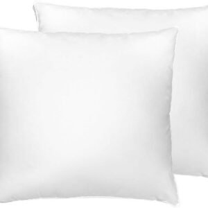 Kit 4 Refil De Almofada Fibra Siliconada Vários Tamanhos – Kiara (Kit Com 2 Refil 50×50)