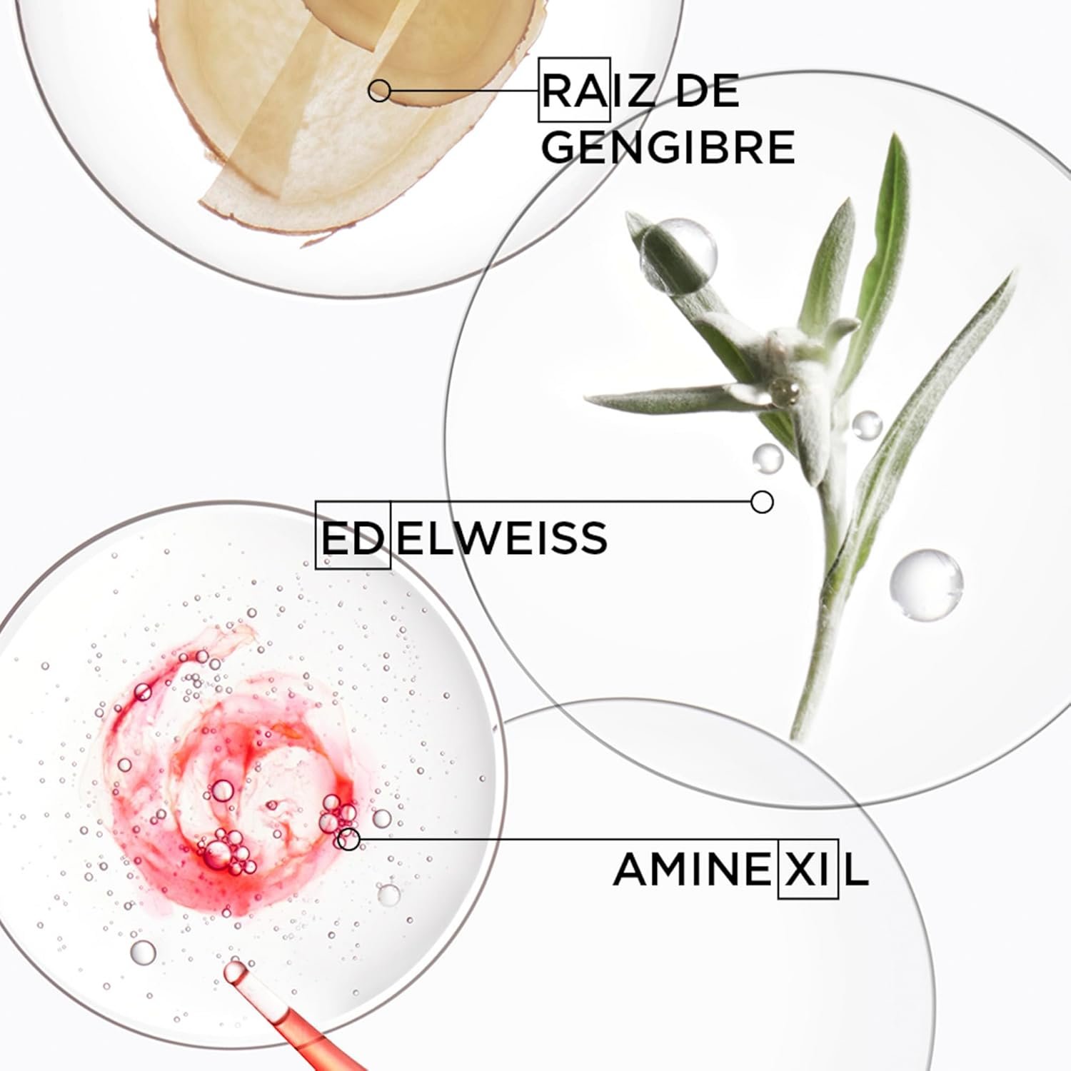 Kérastase Genesis Fondant Renforçateur, Condicionador Antiqueda Fortificante com Células de Edelweiss e Raiz de Gengibre para Cabelos Normais a Finos, 200ml - Imagem 5