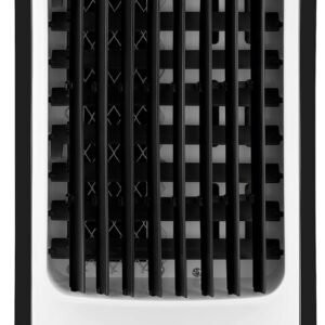 MONDIAL Climatizador Flash Air, Branco/Preto, 80W, 110V – CL-03