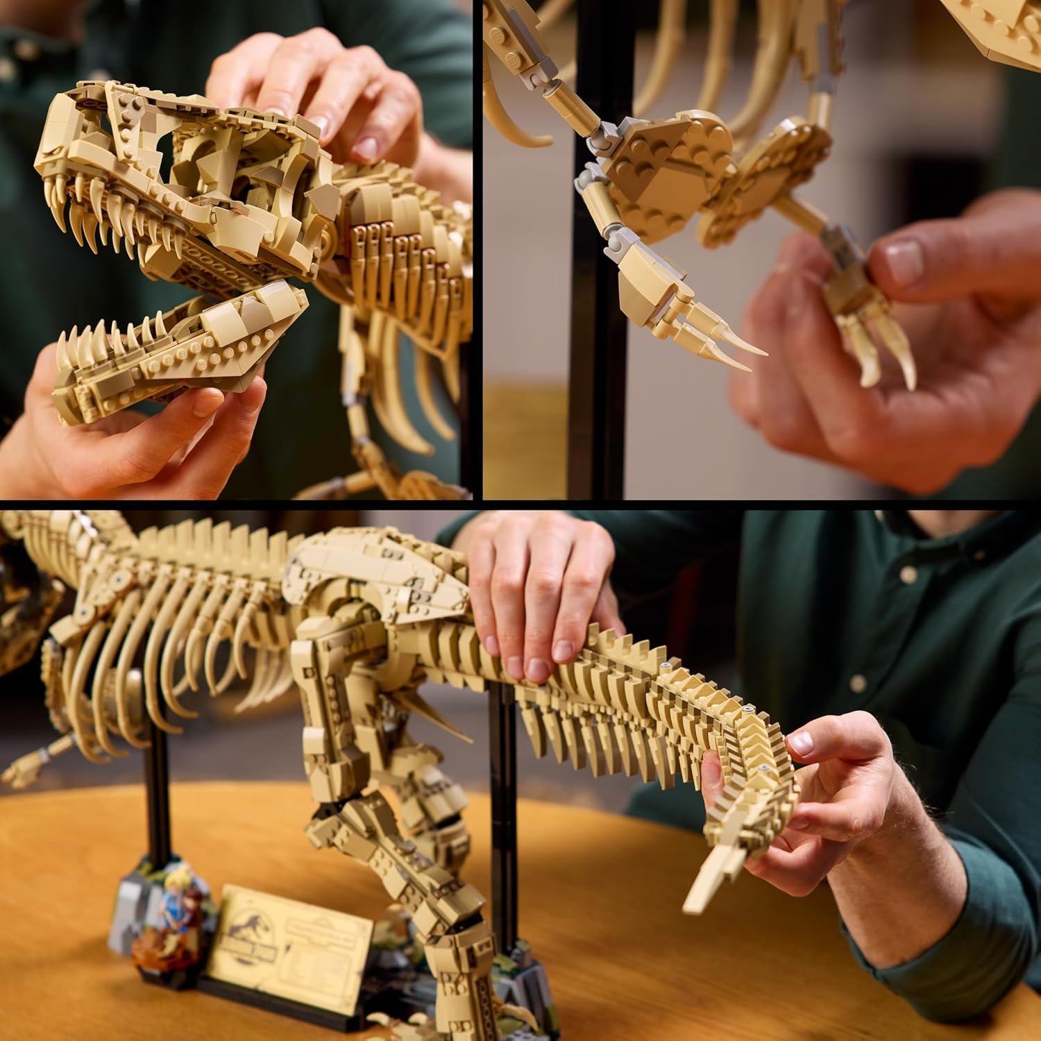 LEGO Jurassic World Fósseis de Dinossauros: Tyrannosaurus rex 76968 - Imagem 4