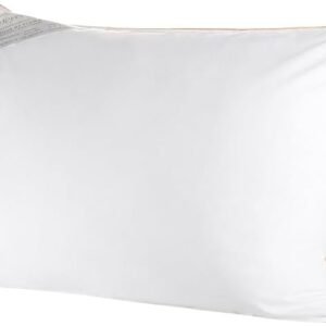 Buddemeyer Travesseiro 50x90cm Toque de Pluma Algodão Branco