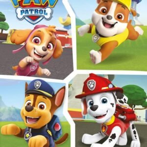 Patrulha Canina – Os Filhotes Salvam a Piscina