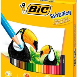 Lápis de Cor Sextavado BIC Evolution, 24 Cores, 902638, Blister 1 Unidade, Seguro Para Crianças, Não Lasca