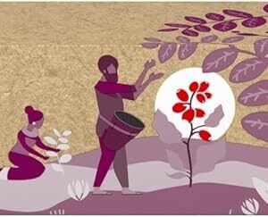 Café em Cápsula Compatível com Nespresso Nescafé Farmers Origins Índia 10 Cápsulas Café em Cápsula Compatível com Nespresso Nescafé Farmers Origins Índia 10 Cápsulas