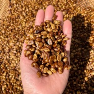 Black Tucano Coffee Café Especial Black Tucano Honey Coffee Em Grãos 250G