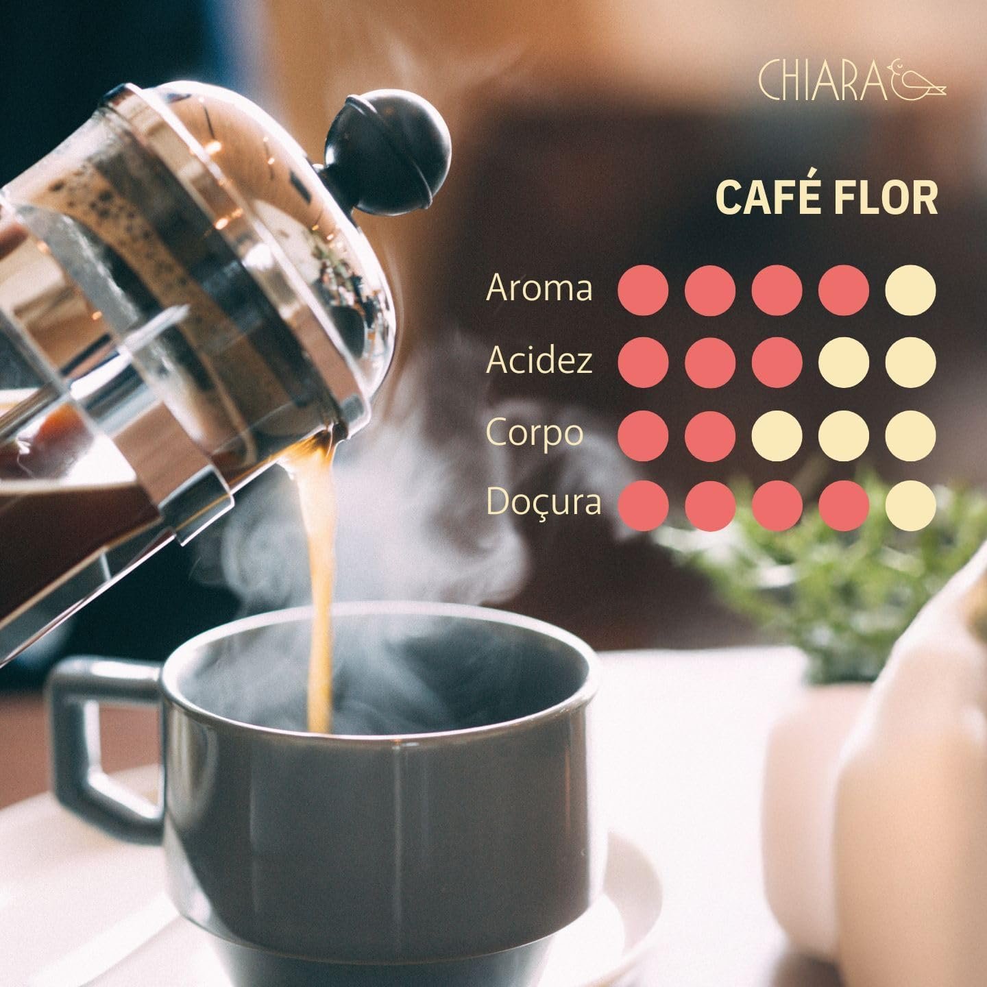 Café Especial Chiara Flor em Grãos 250g Nota 85, Café Brasileiro do Espírito Santo, Notas Florais, Caramelo e Mel, Café Premium de Montanha, Torra Média para Espresso, Coador e Prensa Francesa - Imagem 4