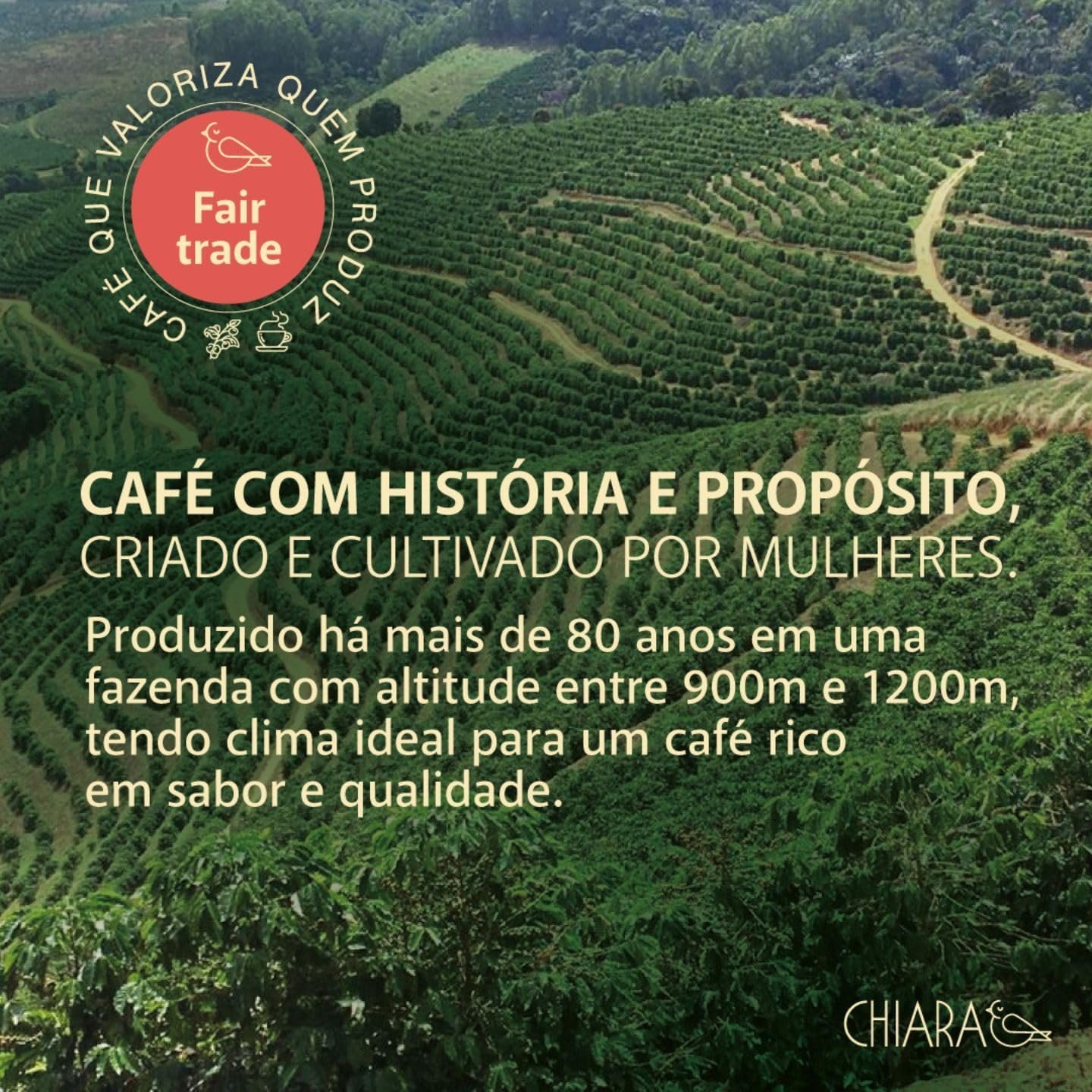 Café Especial Chiara Flor em Grãos 250g Nota 85, Café Brasileiro do Espírito Santo, Notas Florais, Caramelo e Mel, Café Premium de Montanha, Torra Média para Espresso, Coador e Prensa Francesa - Imagem 6