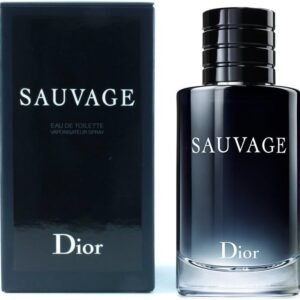 Sauvage Masculino de Christian Dior Eau de Toilette 100ml