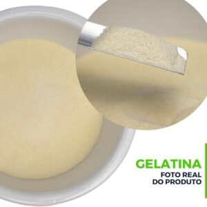 Gelatina em pó 1Kg – Sem sabor Adali
