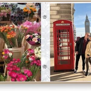 Álbum de fotos Ical, encadernação tradicional, para 120 fotos 10x15cm – envelope plástico transparente – linha Floral – modelo floral suave – alegria – 326