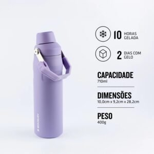Stanley – Garrafa de água Aerolight com tampa de fluxo rápido, copo isolado a vácuo para bebidas frias, aço inoxidável leve, 710 ml, Lavender