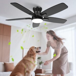 Ventilador de Teto Economizador de Energia 106,7 cm com Controle Remoto, Luz LED e 6 Velocidades, Bivolt 110V/220V, Ventiladores para Sala e Quarto, Preto Ventilador de Teto Economizador de Energia 106,7 cm com Controle Remoto, Luz LED e 6 Velocidades, Bivolt 110V/220V, Ventiladores para Sala e Quarto, Preto