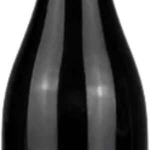 Sierra Batuco Vinho Tinto Chileno Reserva Pinot Noir 750Ml
