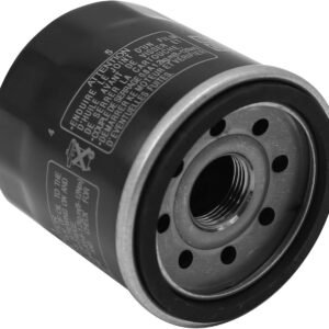 Saihisday Filtro de óleo 5GH-13440-60-00 5GH-13440-61-00 compatível com motocicleta Yamaha (preto)