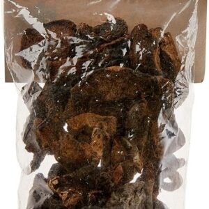 Funghi Secchi Chileno 50g